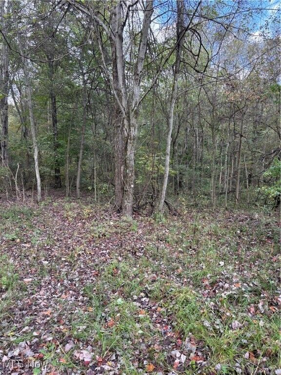 Property Photo: 9730 Steubenville Pike OH 44432