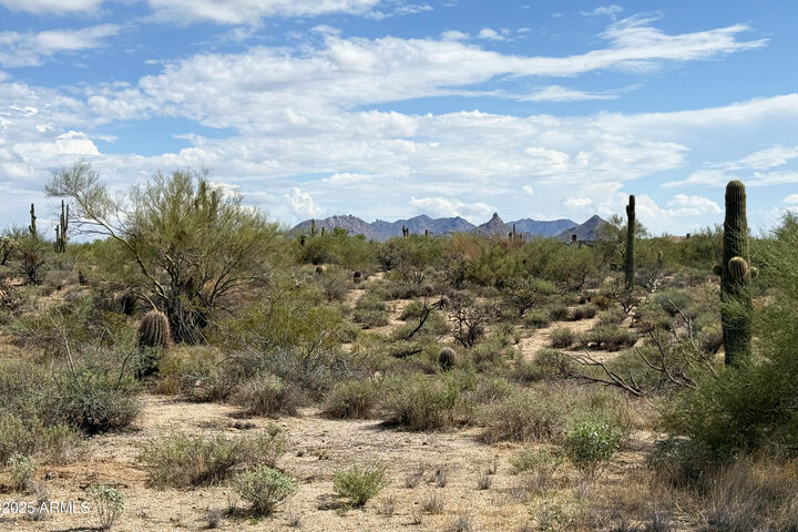 Property Photo:  31815 N Black Cross Road 28  AZ 85266