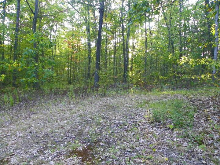 Property Photo:  0 Hickory Hill Rd W  NY 14810 