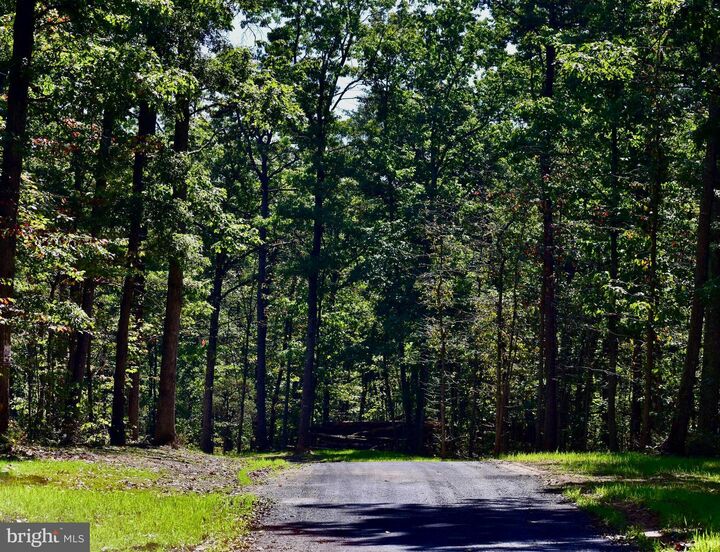 Property Photo:  Lot 1 (128.556 Acres) Laurel Grove Road  VA 22602 