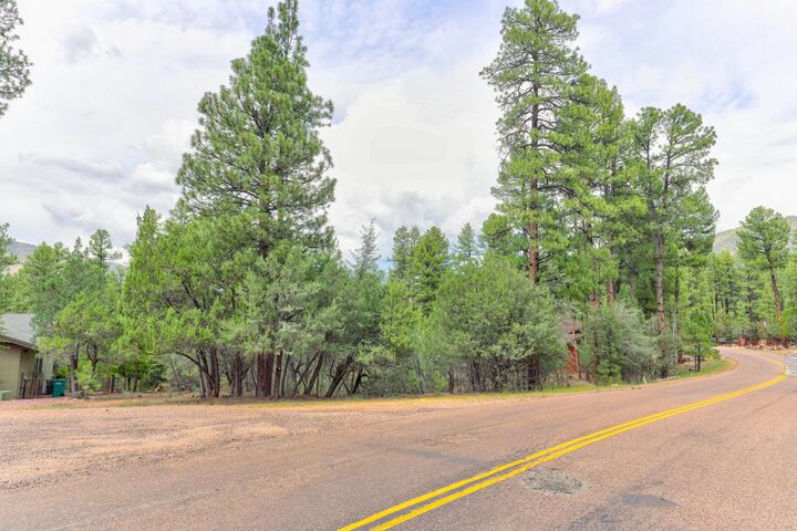 Property Photo: 89 Lot 89 Solitude Pines AZ 85544