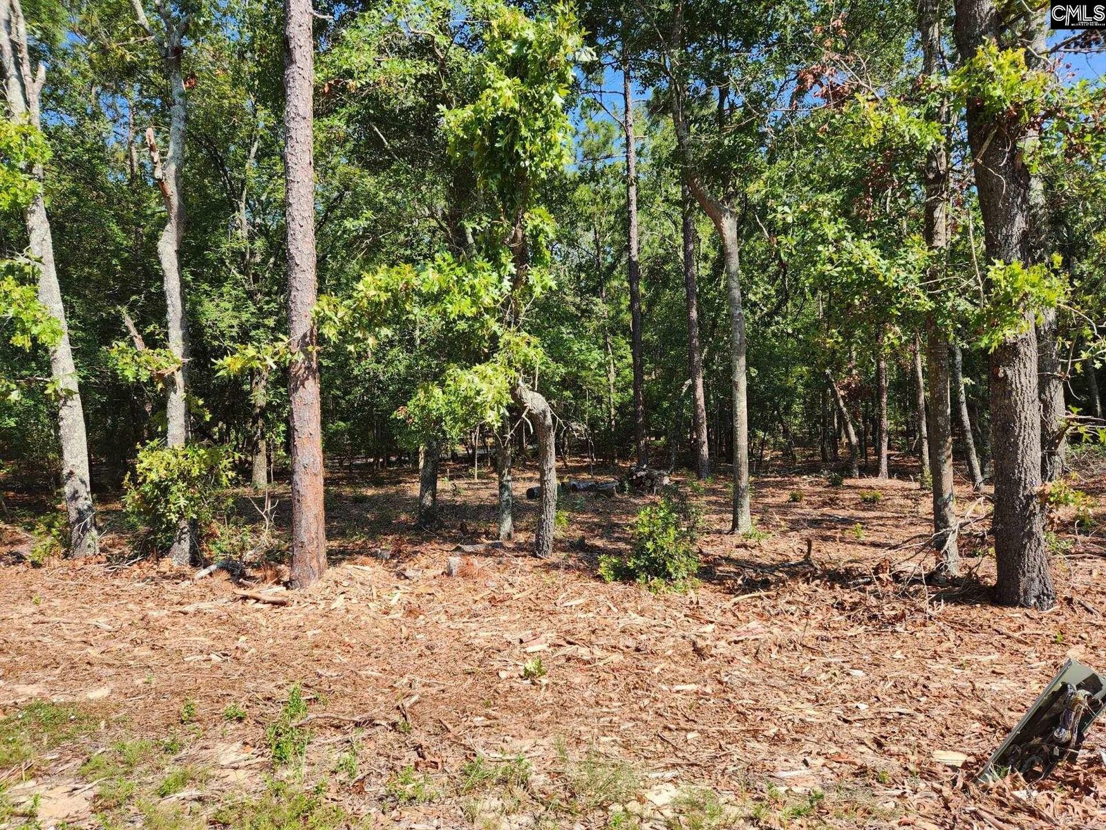 Property Photo:  648 Calvary Church  SC 29160 