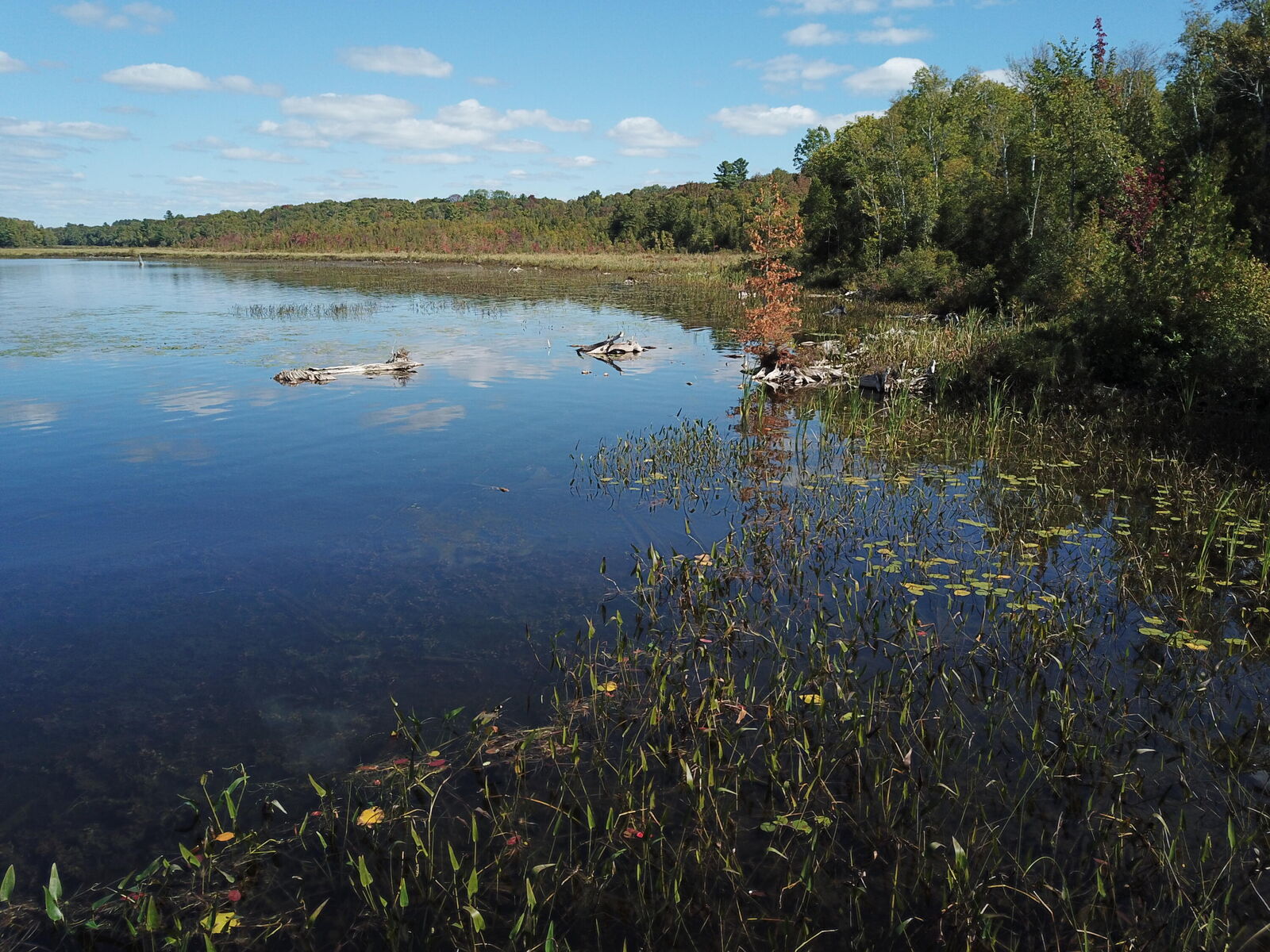 Property Photo:  Tbd Dexter Road  ME 04971 