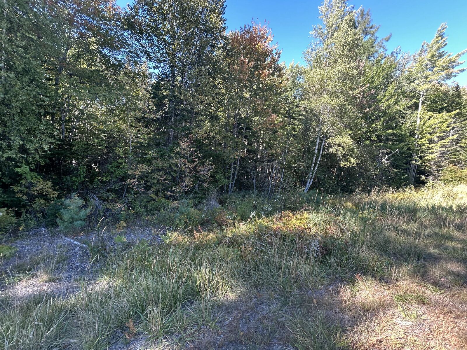 Property Photo: M6l24 US Route 9 ME 04686