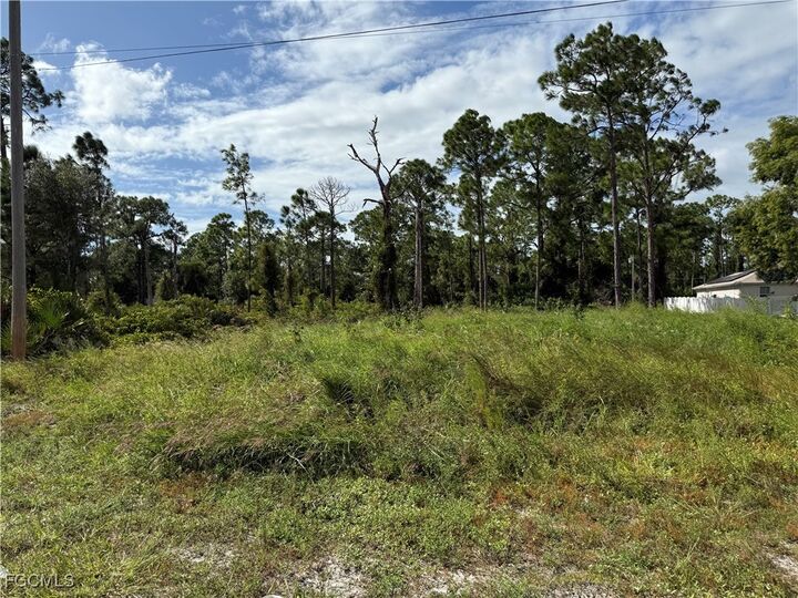 Property Photo:  1013 Grant Boulevard  FL 33974 