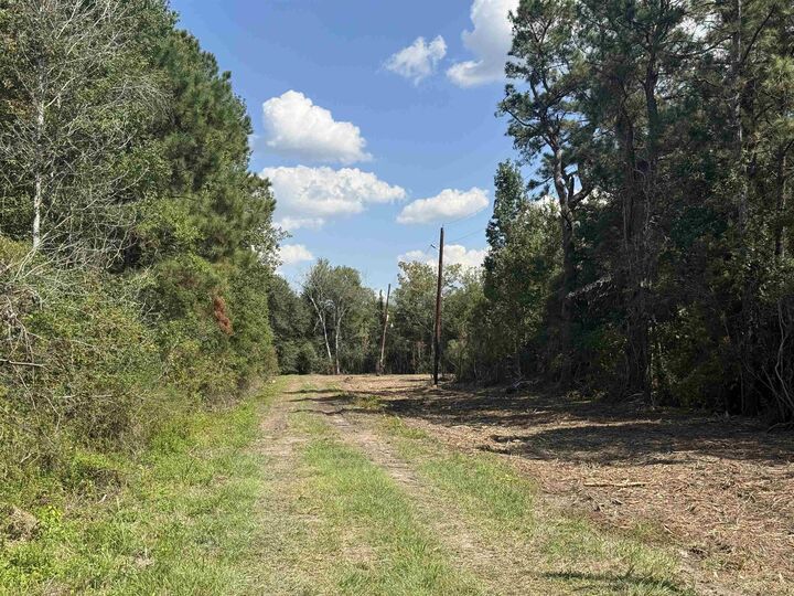 Property Photo: 8115 Shaffer Dr. TX 77705