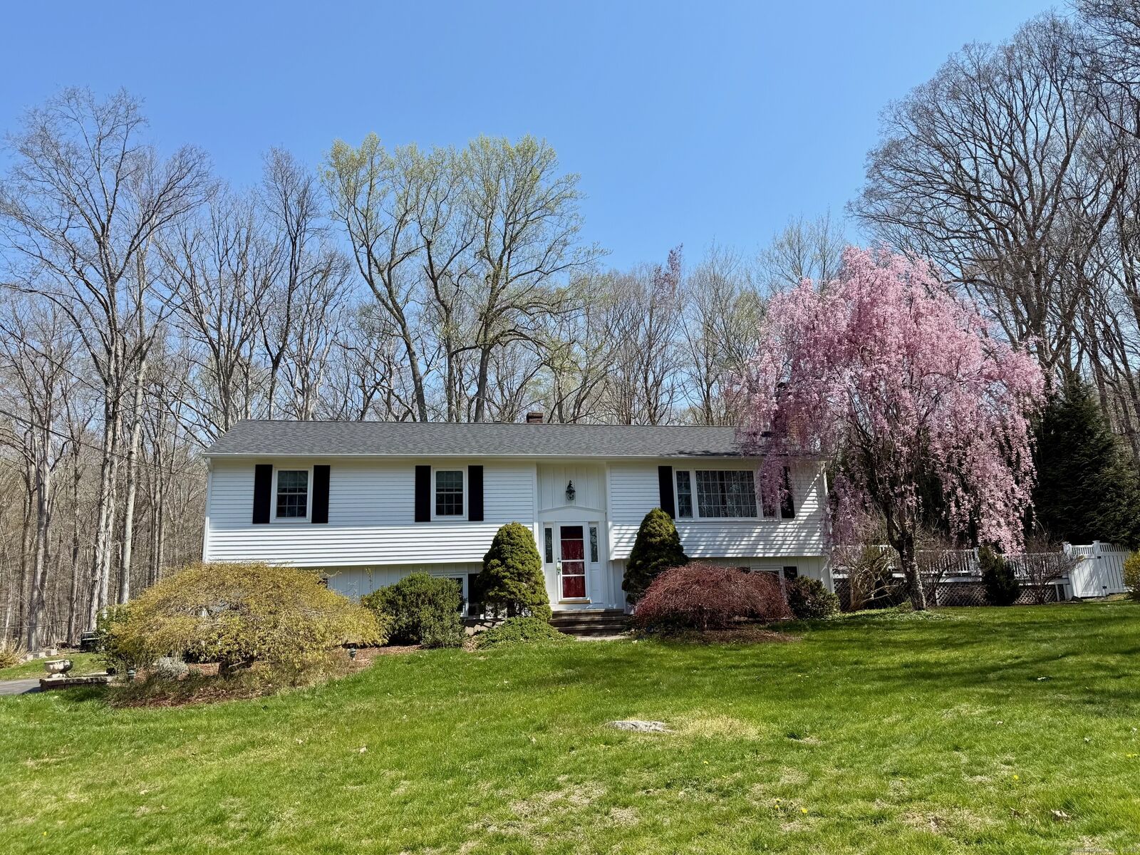 Property Photo:  16 Eastwood Road  CT 06443 