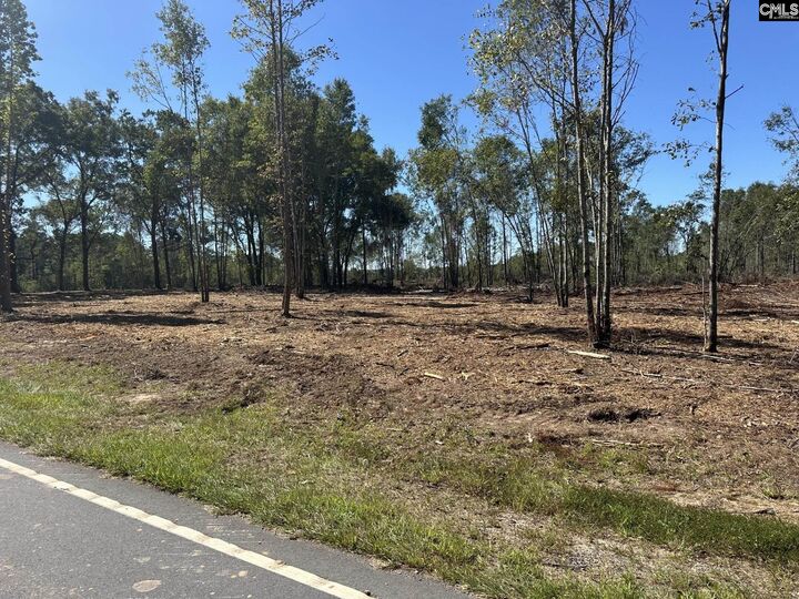 Property Photo:  0 Sc Hwy 773  SC 29126 