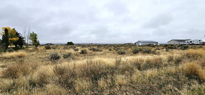 Property Photo: 768 Alpine Drive NV 89815