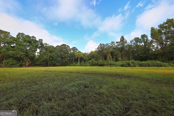 Property Photo:  23481 N US Hwy 19 (7.46 Acres)  GA 31773 