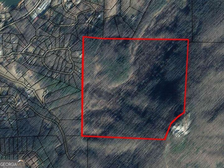 Property Photo: 145 Ac. Bell Mountain GA 30546