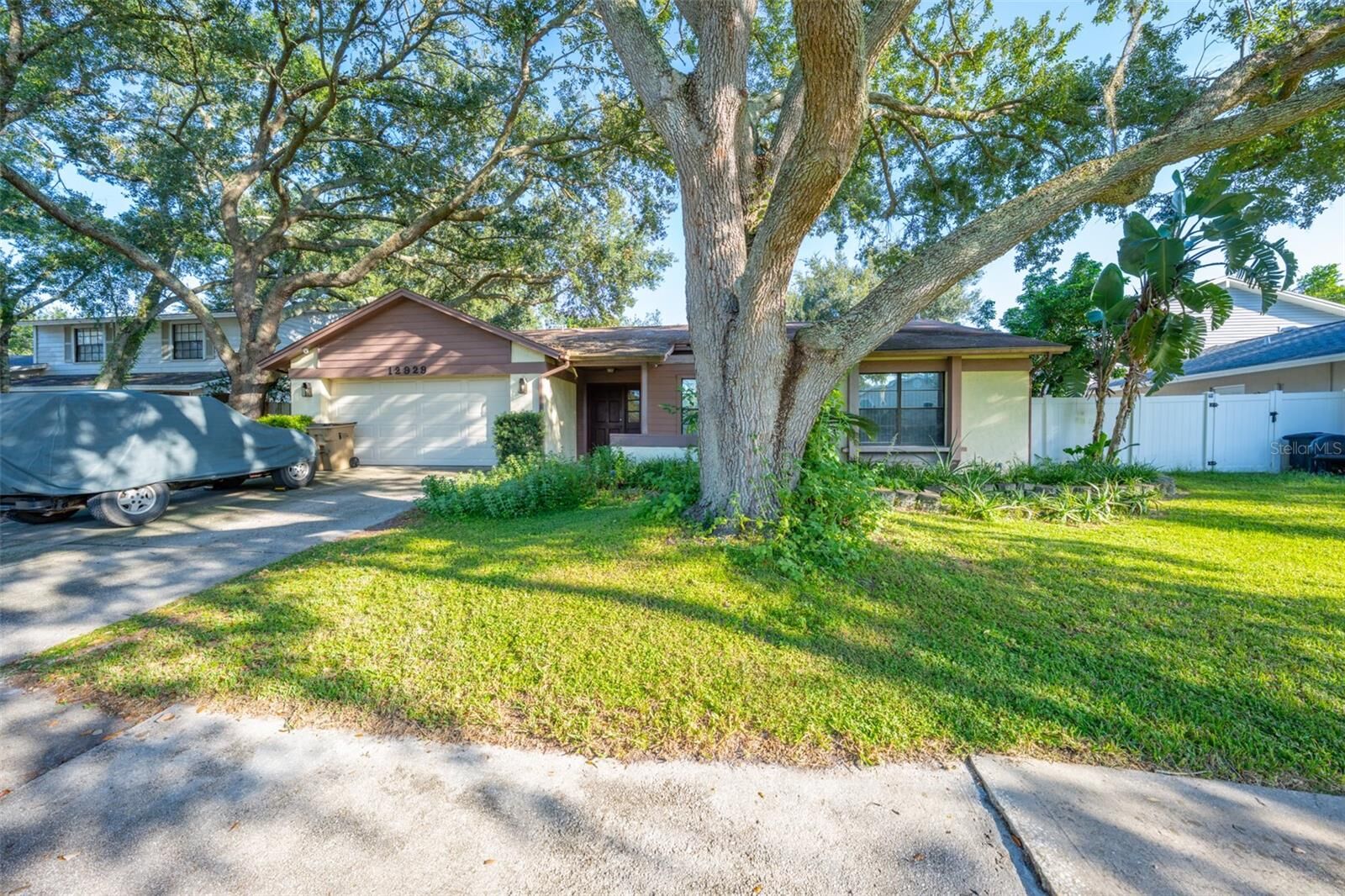 Property Photo:  12929 Rain Forest Street  FL 33617 