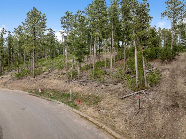 Property Photo: Lot 17 Dancing Sky Lane SD 57754
