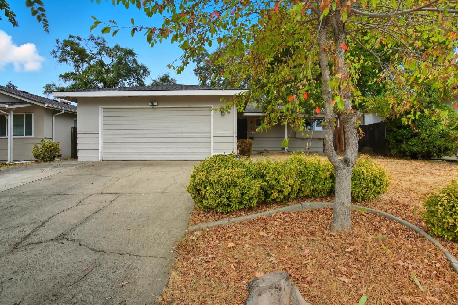 Property Photo:  7517 Almondwood Avenue  CA 95610 