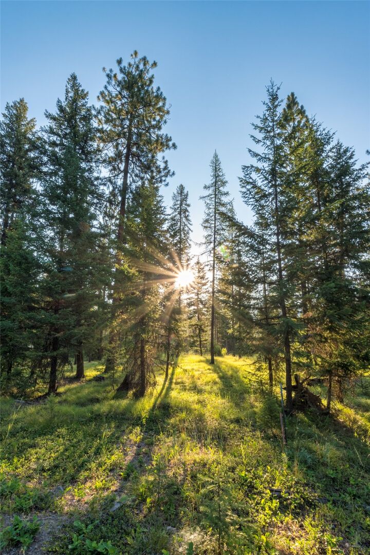 Property Photo:  18 Baldy Mountain View Road  MT 59859 