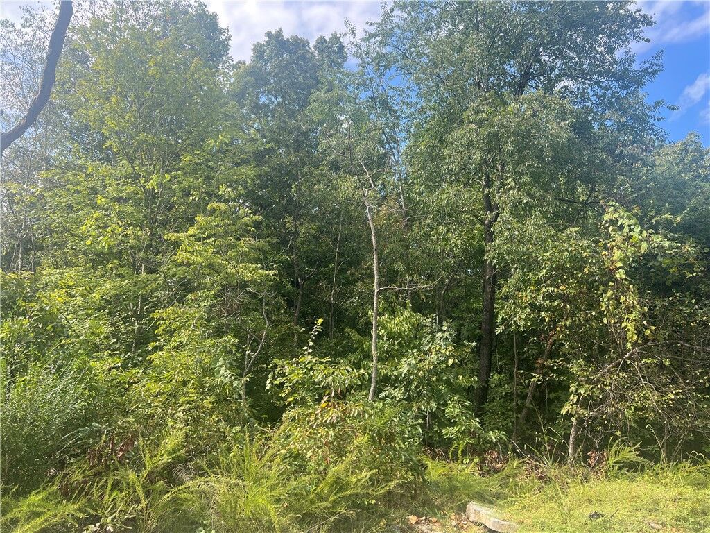 Property Photo:  Faversham Lane  AR 72714 