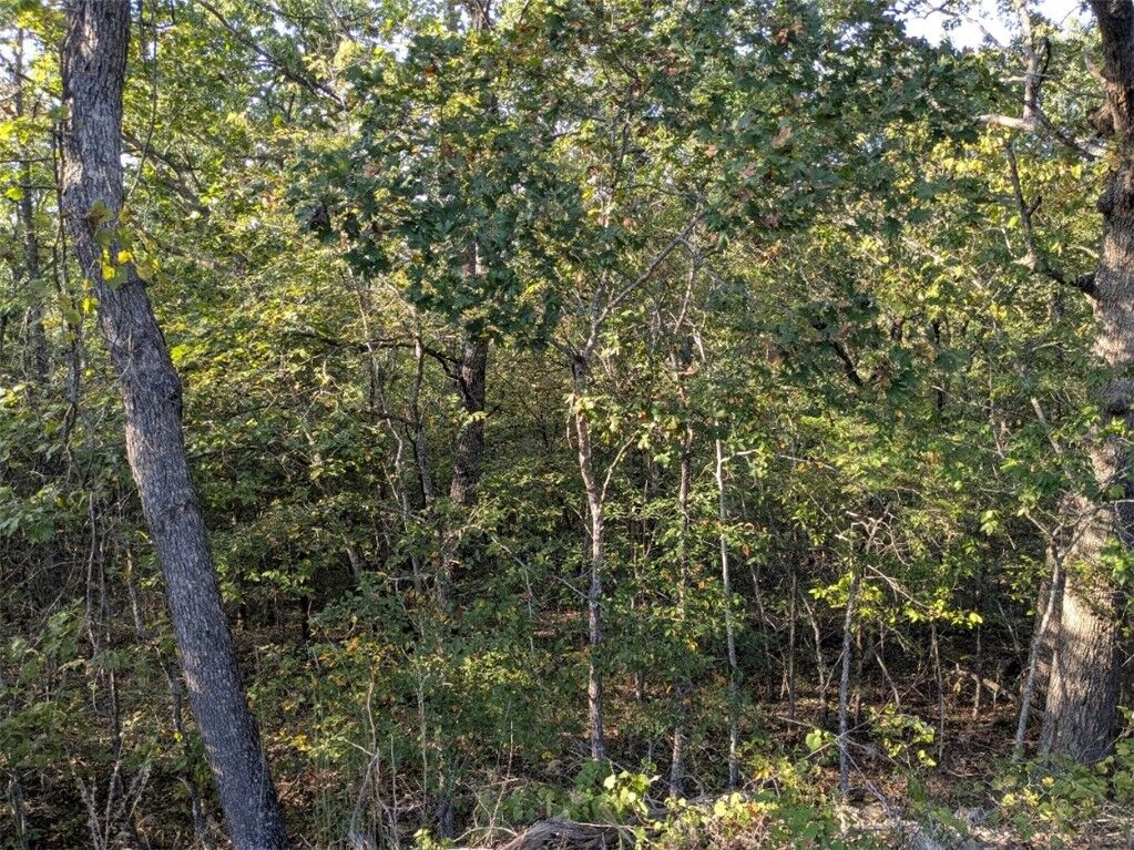 Property Photo: 36 Starlite Avenue AR 72631