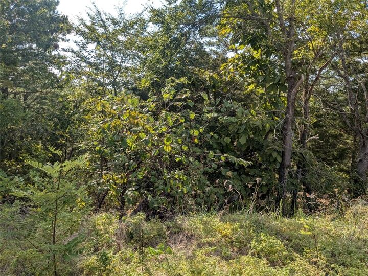 Property Photo:  30 El Dorado Lane  AR 72631 