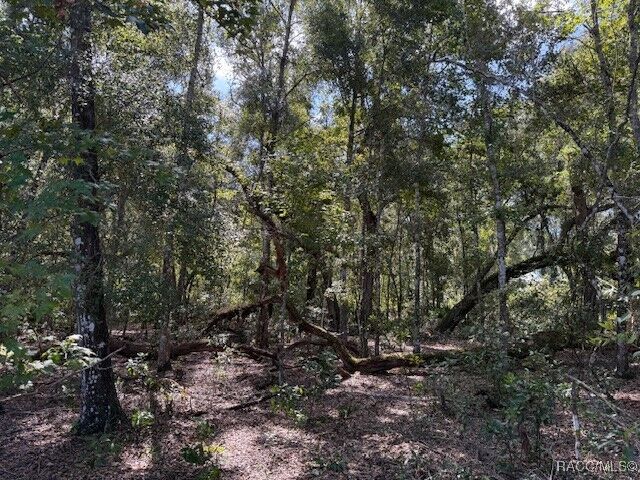 Property Photo: 4644 S Ironwood Point FL 34450