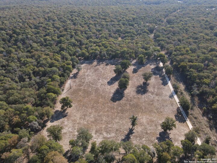 Property Photo: 1545 Nockenut TX 78155