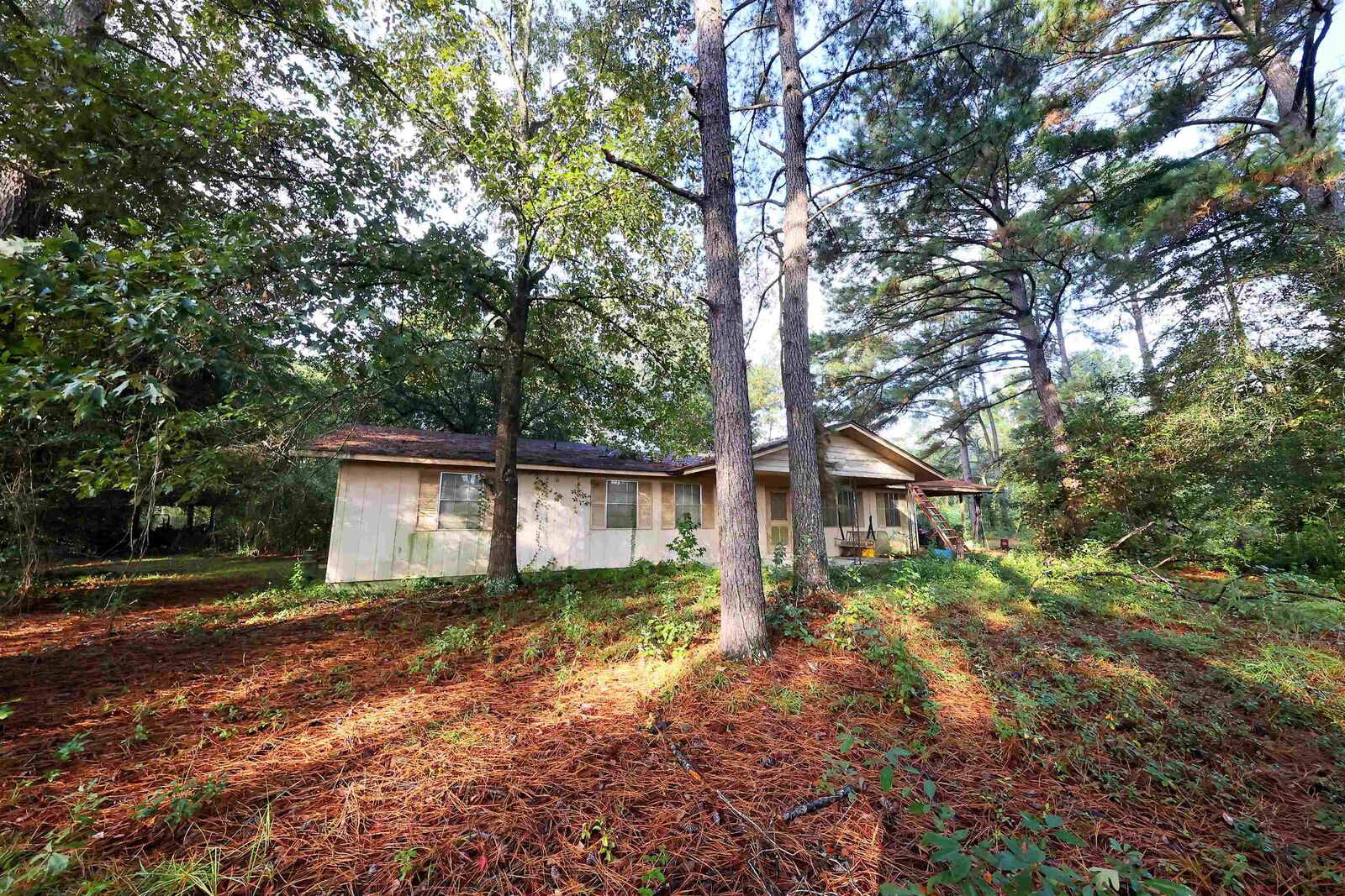 Property Photo:  23481 N US 19 (7.46 Ac) Highway  GA 31773 