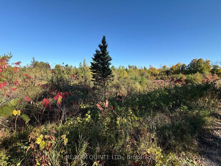 Property Photo:  0 Price Road  ON K0K 3J0 