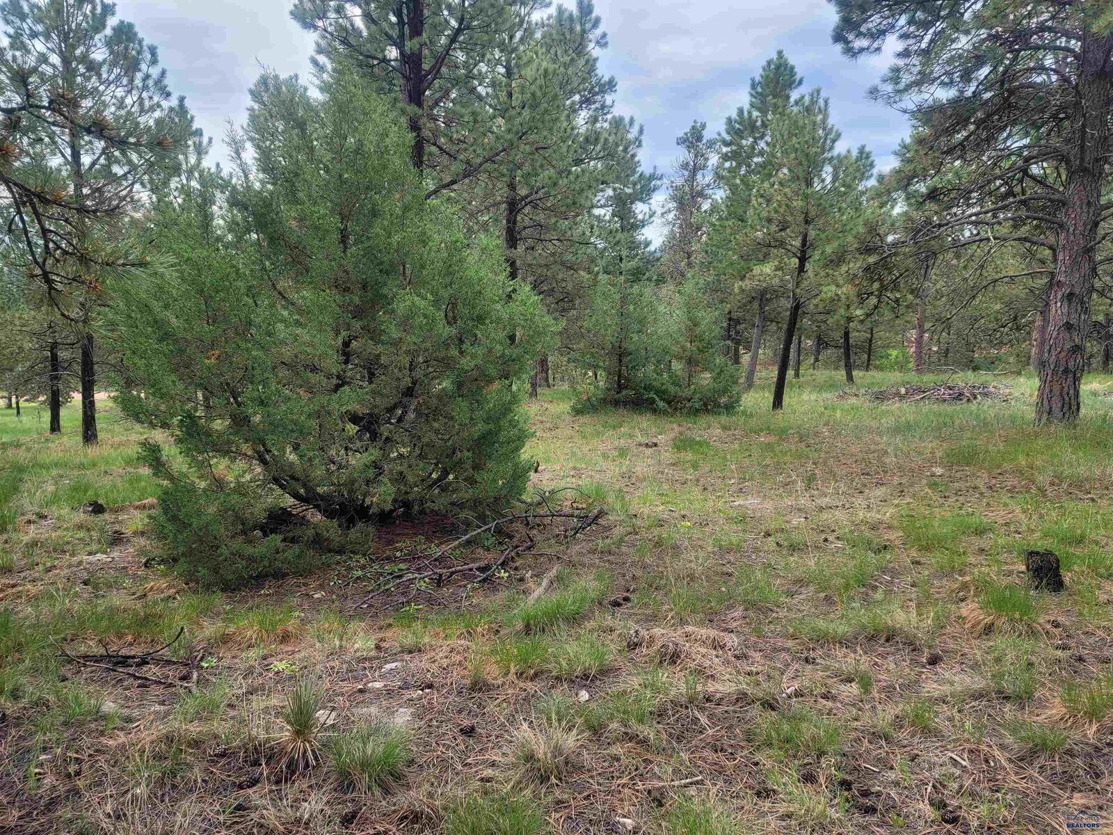 Property Photo:  24653 Outback Trail  SD 57744 