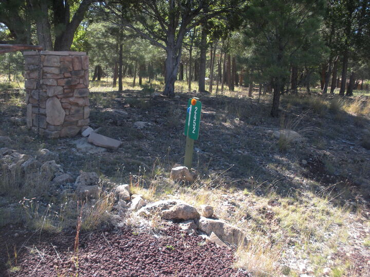 Property Photo: 2452 Starlight Drive AZ 86024