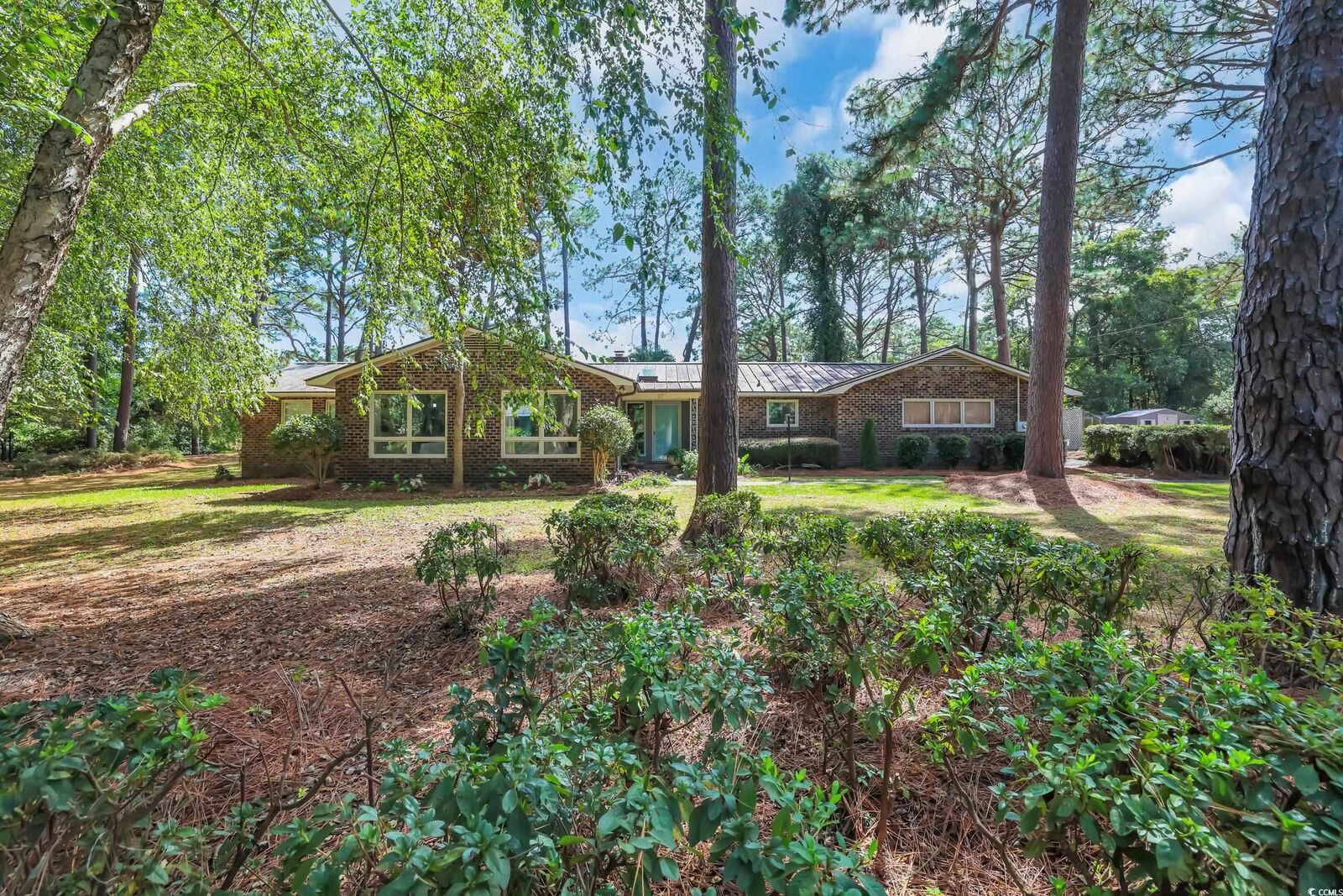 Property Photo: 117 Blackwood Trail SC 29585