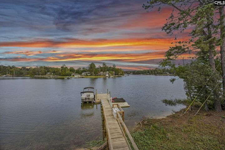 520 Walt Rauch  Chapin SC 29036 photo