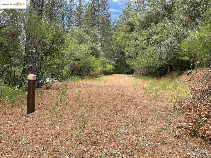 Property Photo: 11797 Rambler Rd. CA 95310