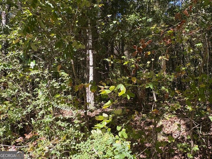 Property Photo: 0 Old Greensboro Road GA 30669
