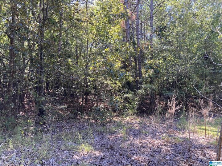 Property Photo: 39 Spotted Horse Trail None AL 35160