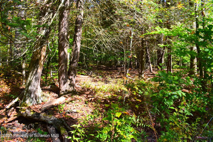 Property Photo: Westwoods Road Road PA 18812