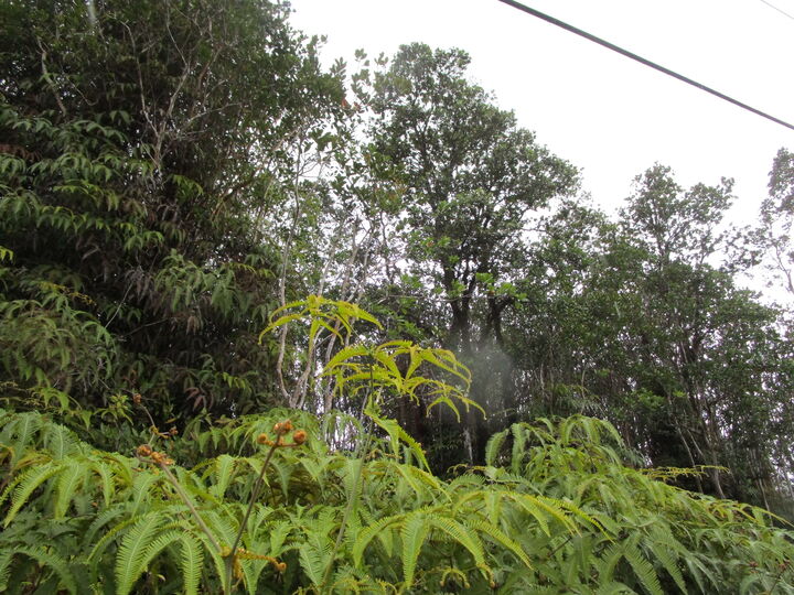 Property Photo:  Road 1 (Uhini Ana)  HI 96760 