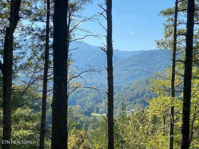 Property Photo: 849 Hawk View Rd TN 37882