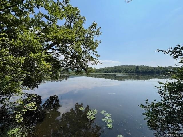 Property Photo: Lot 68 Shore Road NY 12783