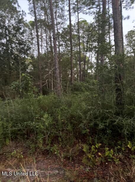 Property Photo:  0 18th Street  MS 39571 