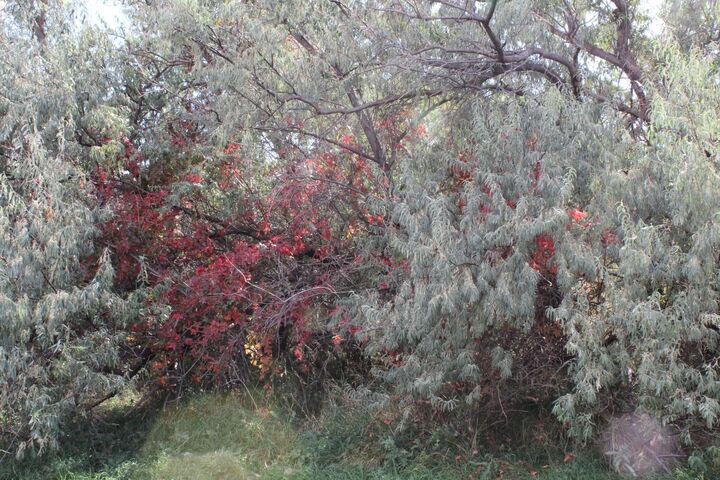 Lot 6 Sage Road  Newcastle WY 82701 photo