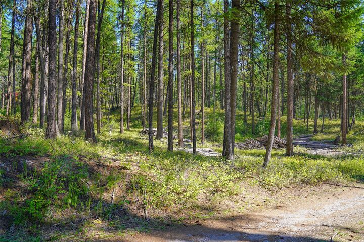 Property Photo:  176 Murray Ridge Road  MT 59937 