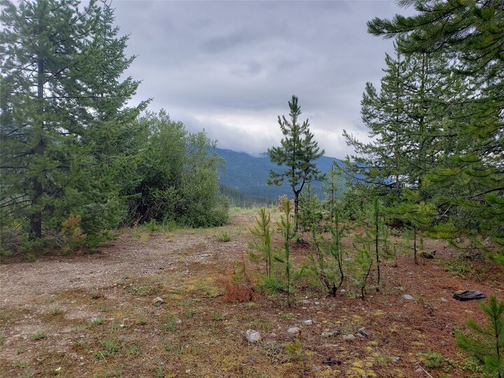 Property Photo:  Lot 22 Nine Mile Road  MT 59846 