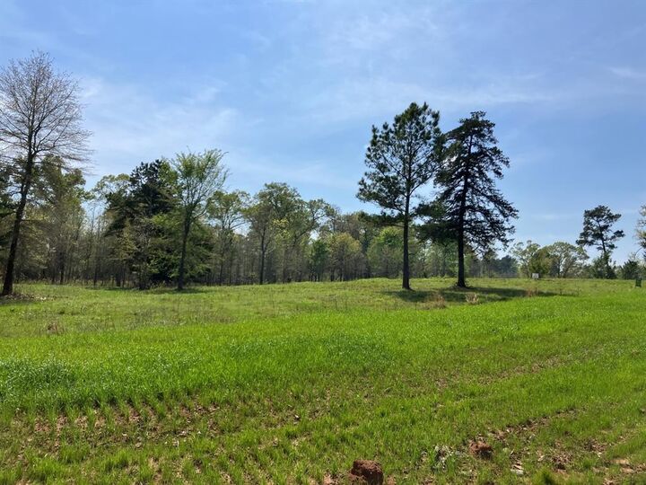 Property Photo:  16730 Ridgeline Loop  TX 75792