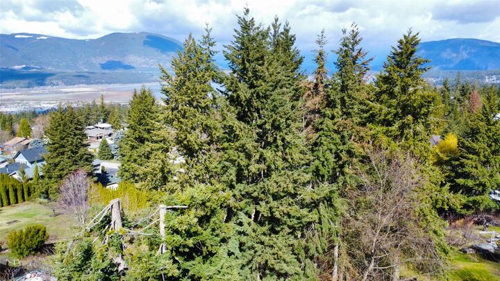 Property Photo: 1711 12 Avenue SE BC V1E 2E4