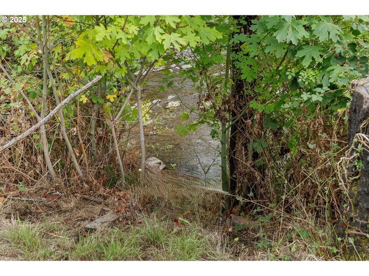 Property Photo:  45678 N Gate Creek Rd  OR 97488 