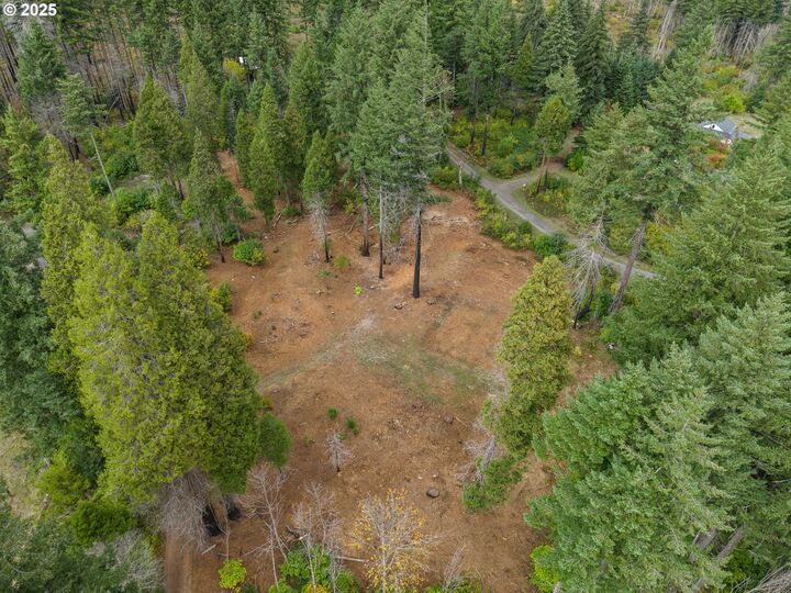 Property Photo:  51209 Blue River Dr  OR 97488 