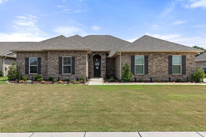 204 Nellie Faye Ln  Meridianville AL 35759 - MERIDIAN photo