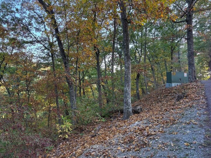 Property Photo: Lot 41 Wildwood Ridge WV 24925