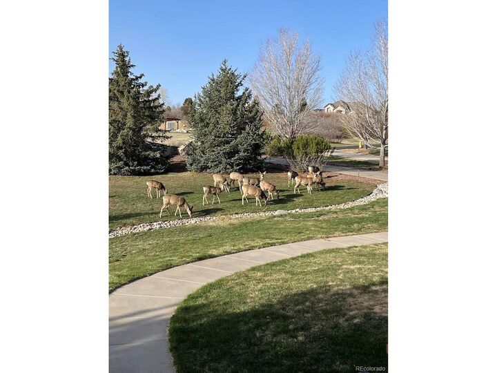 Property Photo:  1111 Annabar Dr  CO 80108 