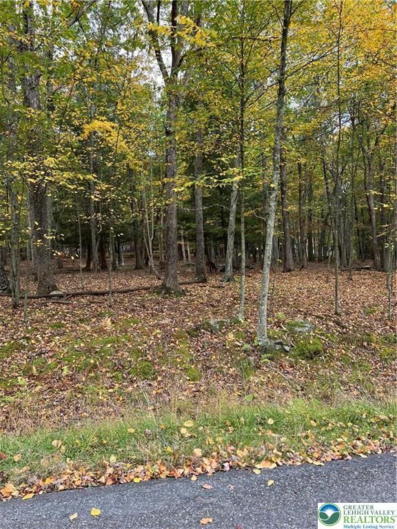 Property Photo: 289 Forest Drive PA 18325