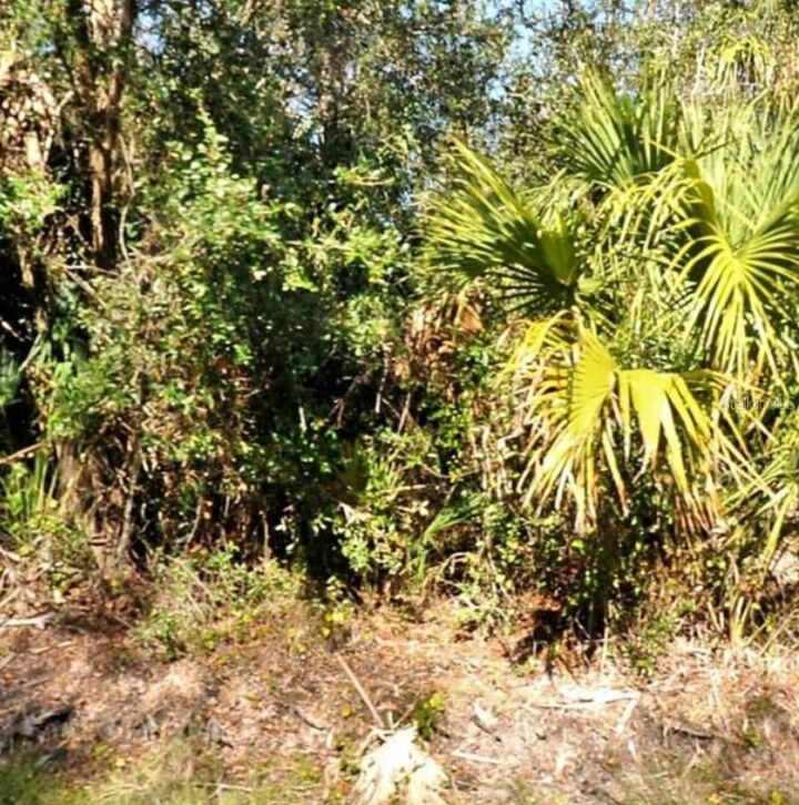 Property Photo: 13 Snug Street FL 34286